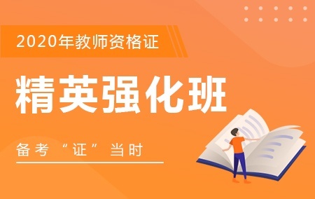 高中信息技术-教师资格证【精英强化班】